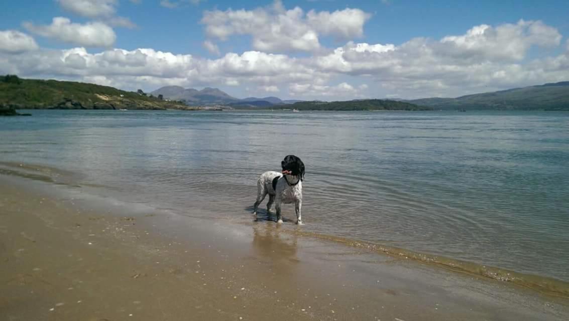 89 Lower Lakeside - Glan Gwna Holiday Park Caernarfon Exteriér fotografie